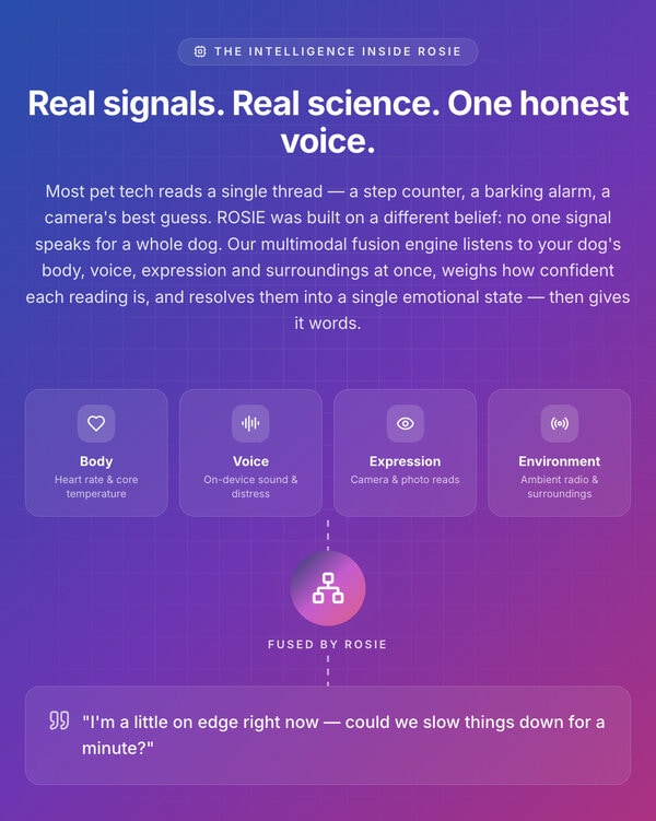 Interspecies Communication Platforms