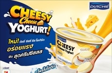Layered Cheese Yogurt Snacks
