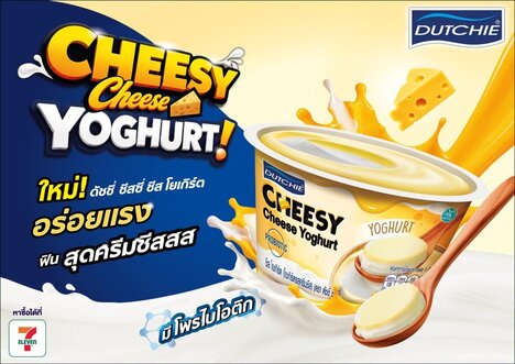 Layered Cheese Yogurt Snacks