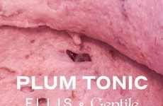 Perfume-Inspired Plum Sorbets