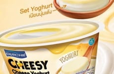 Layered Cheese Yogurts