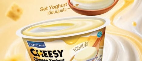 Layered Cheese Yogurts