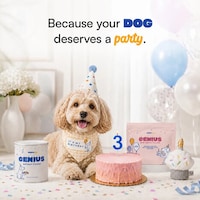 Dog-Friendly Birthday Boxes Image 1