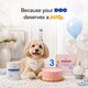Dog-Friendly Birthday Boxes Image 1