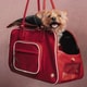 Football Pet Apparel Image 1