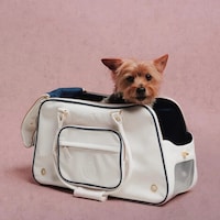 Football Pet Apparel Image 3