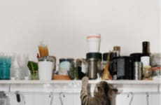 Simplified Pet Insurance Services