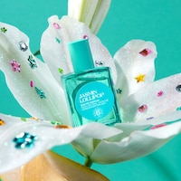 Ultra-Concentrated Roll-On Fragrances Image 4
