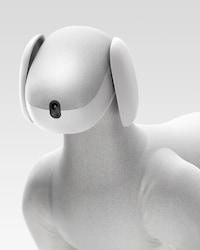 Soft Robot Dogs Image 2