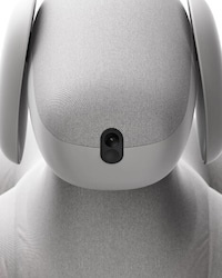 Soft Robot Dogs Image 3