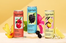 Enlightening Alcohol-Free Refreshments