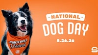 Pet-Themed QSR Campaigns