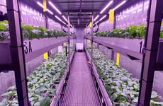 Vertical Farming Test Vouchers