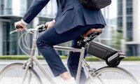 Top 60 Eco Trends in September