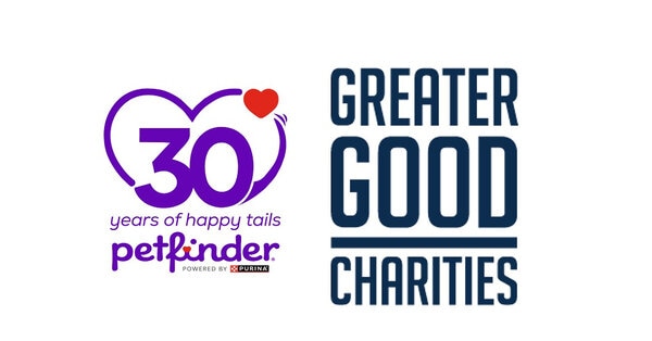 Anniversary Pet Adoption Initiatives