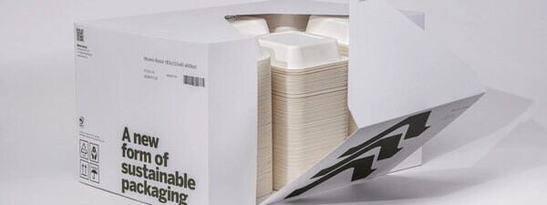 Wood-Fibre Packaging Lines
