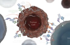 Targeted Tumor Therapy Candidates