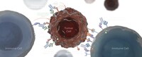 Targeted Tumor Therapy Candidates