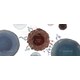 Targeted Tumor Therapy Candidates Image 1