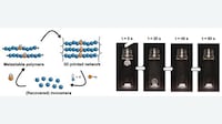 Closed-Loop 3D Printing Polymers