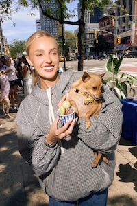 Pet Pop-Up Activations Image 1