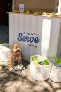 Pet Pop-Up Activations Image 2