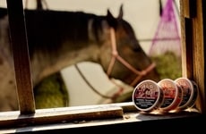 Western-Themed Product Collections