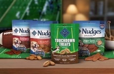 Football-Themed Dog Treats