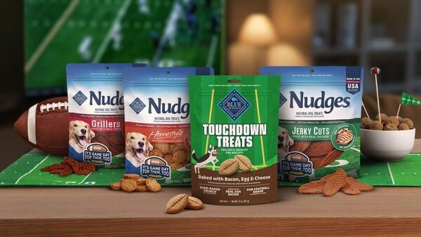 Football-Themed Dog Treats