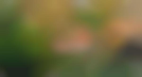 Fun Tilt-Shift Shorts