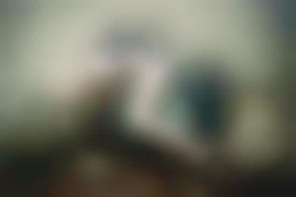 Sensual TV-Tography