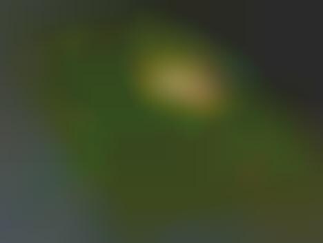 Bird's-Eye Viewscaping