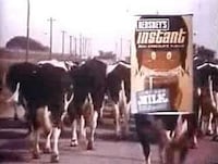 Meat Hating Sites Image 2
