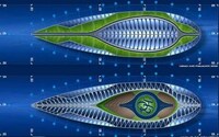 Aquatic Floating Gardens Image 7