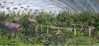 Green Theme Parks Image 5
