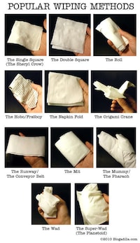 Toilet Paper Origami Image 3