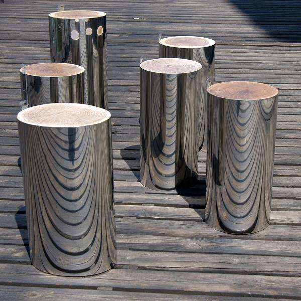 Mirrored Tree Trunks