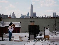 Illegal City Bees Image 7