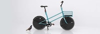 Award-Winning Cycles Image 3