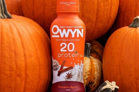 Seasonal Plant-Protein Shakes