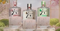 Seasonal Botanical Gins Image 1