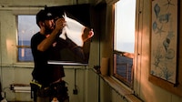 Solar Heat Reduction Films Image 2