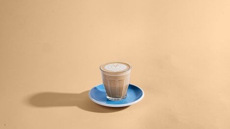 Seasonal Protein Chai Drinks