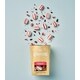 Festive Peppermint Candy Varieties Image 1