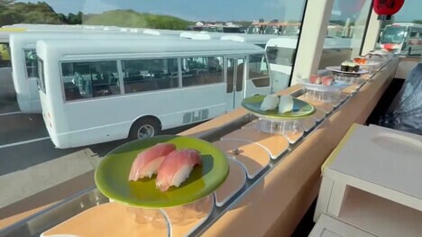 Sightseeing Dining Bus Experiences