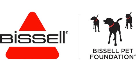 Pet-Centered Fashion Activations