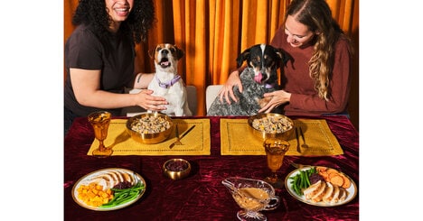 Holiday-Inspired Dog Meals