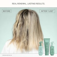 Pre-Treatment Hair Protectants
