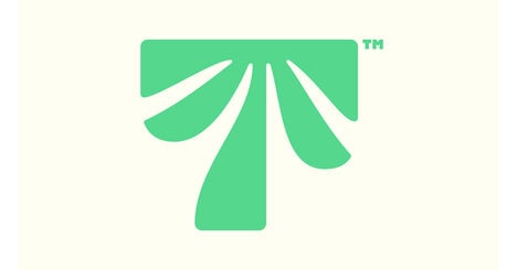 Reimagined Tropical Cafe Experiences