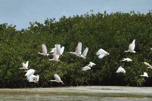 Wetland Conservation Grants Article Thubnail